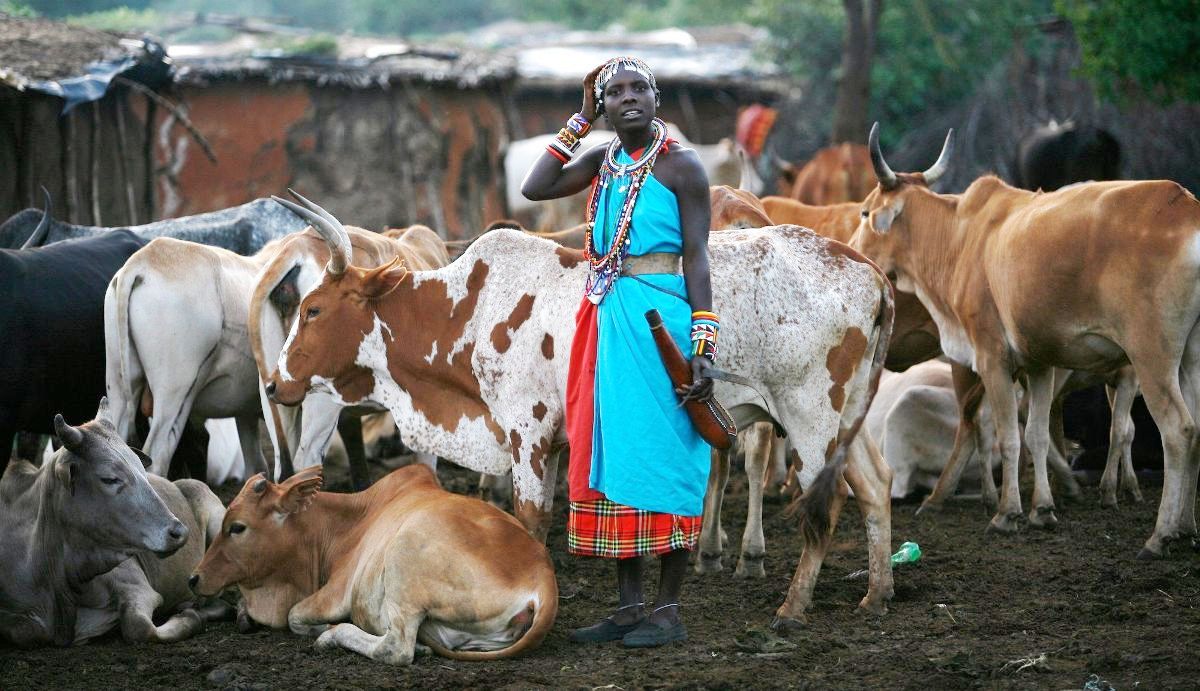 Tanzania's livestock sector emerges as economic powerhouse