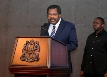 Nchimbi awataka mabalozi kuimarisha diplomasia ya uchumi