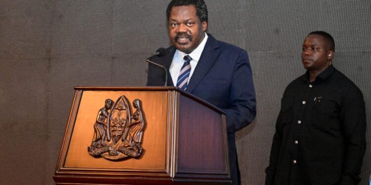 Nchimbi awataka mabalozi kuimarisha diplomasia ya uchumi