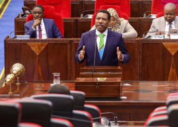 Tanzania: Mradi wa LNG wa dola bilioni 42 unaendelea vyema